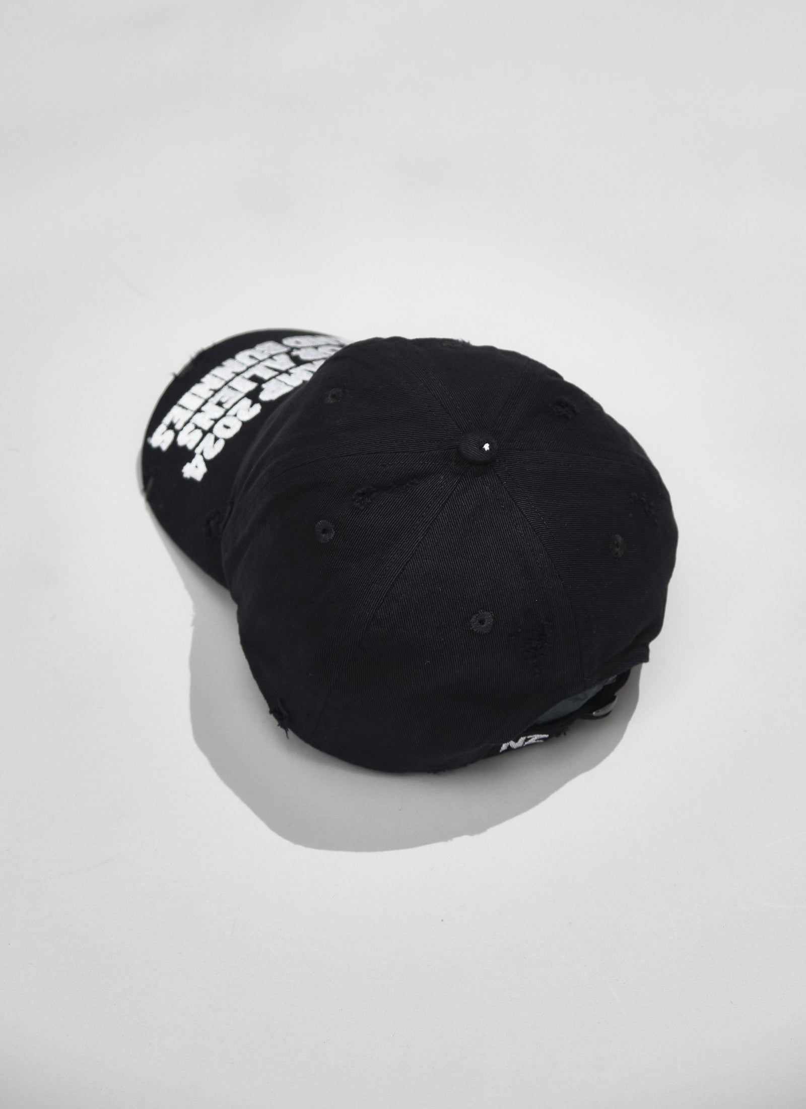 Nz camp 2024 baseball hat – HITCHHIKER